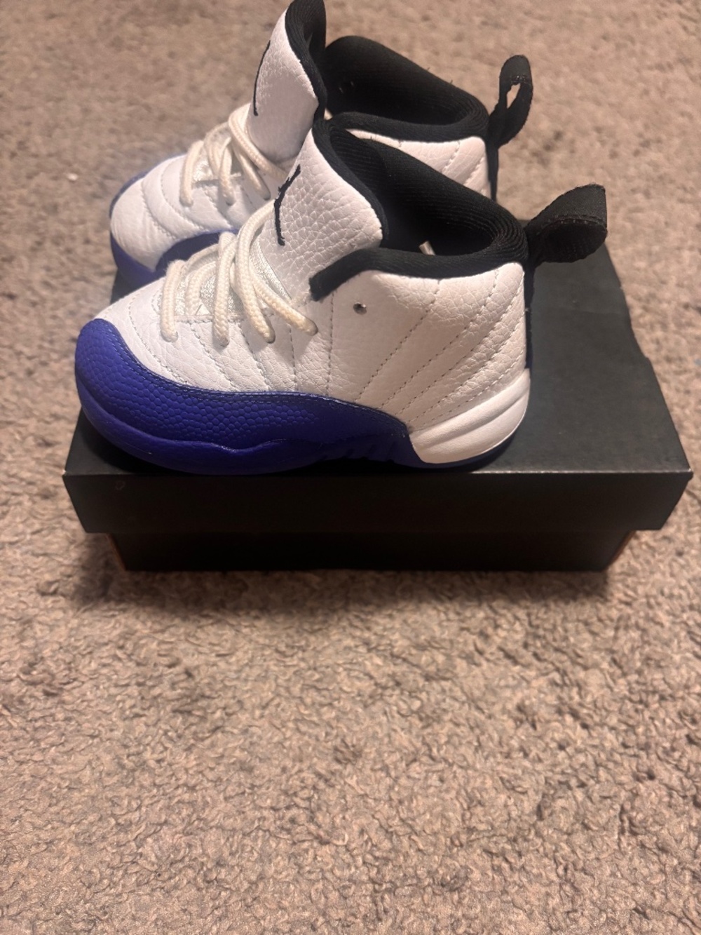 Jordan Retro 12, royal blue and white size 6c